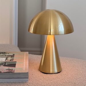 HÜBSCH MUSH opladelig lampe, Ø15xH20 cm.
Vælg ml. messing eller mat sort.